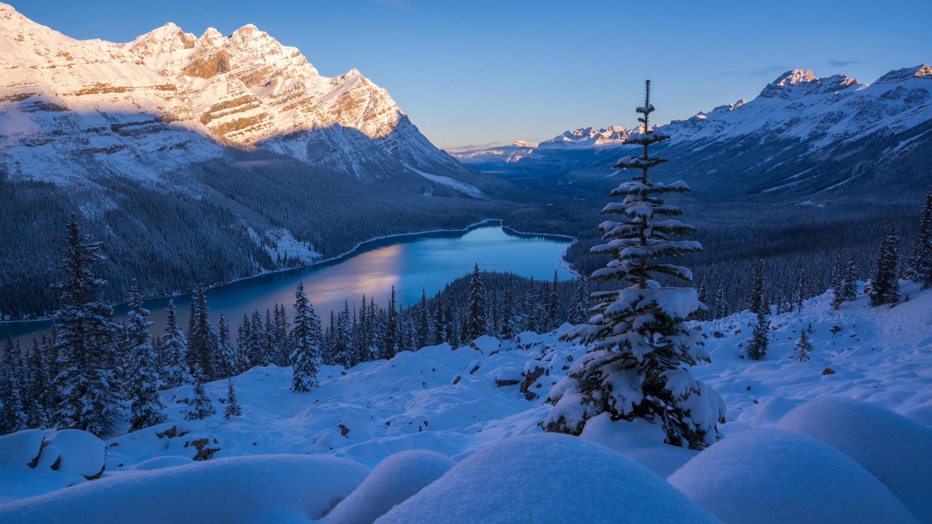 peyto lake, banff national park, , , 