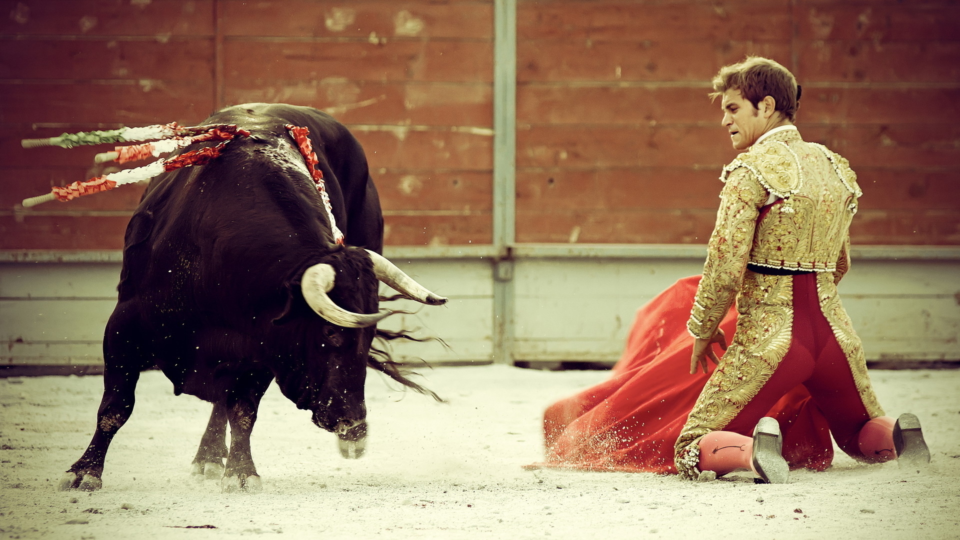 spain, toreador, bull,  , 