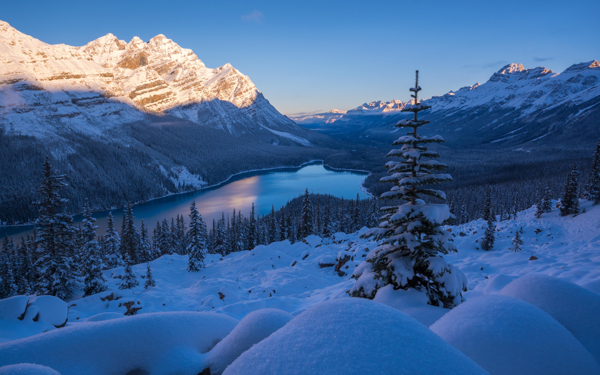 peyto lake, banff national park, , , 