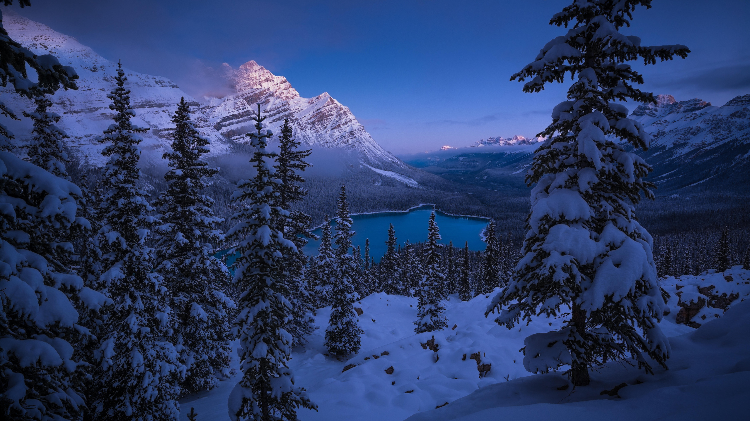 peyto lake, banff national park, , , 