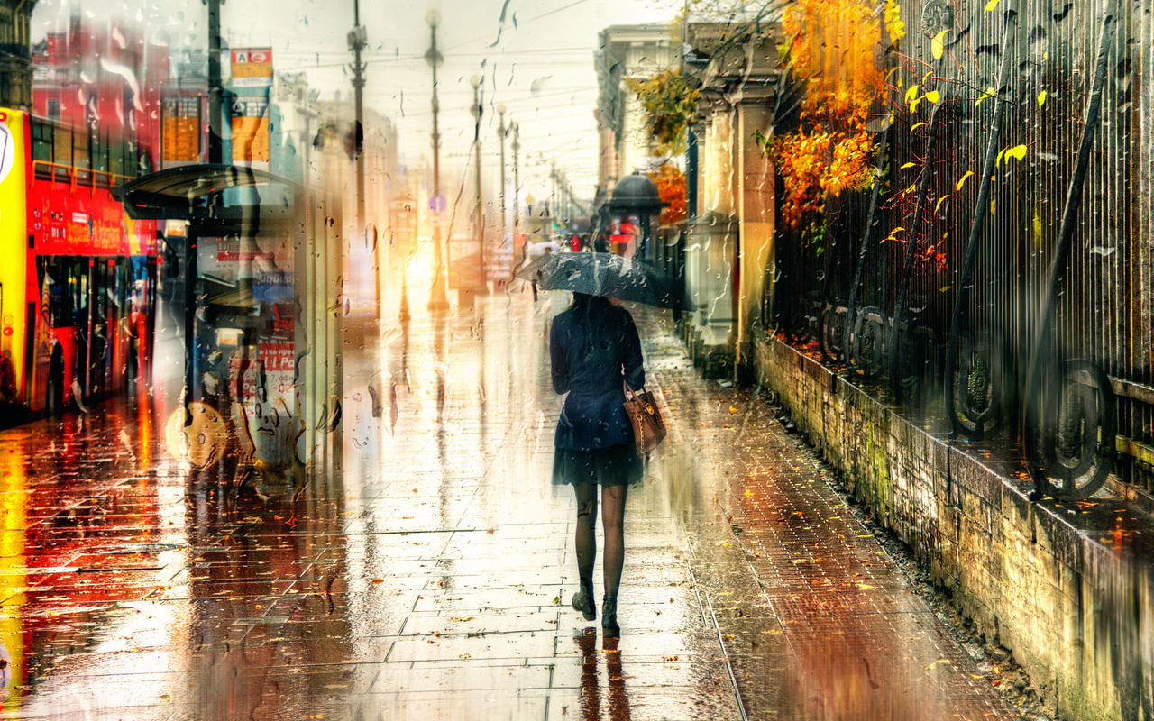 , , , , , ed gordeev,  ,  , , -