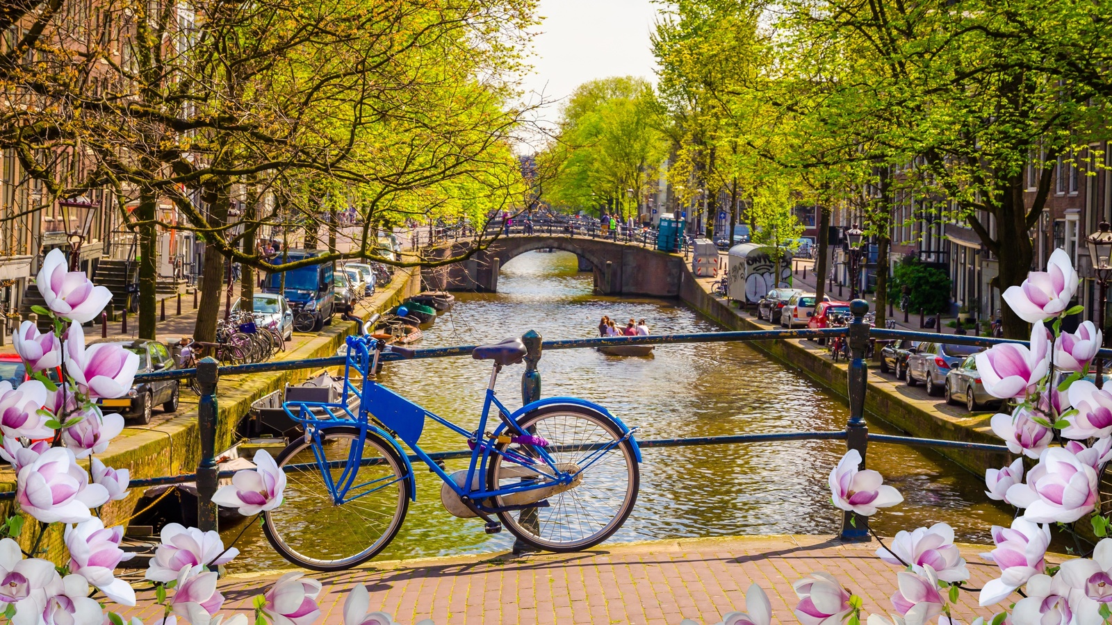 , , , buildings, canal, , netherlands, blossom, old, amsterdam, spring, , bridge, , flowers, 