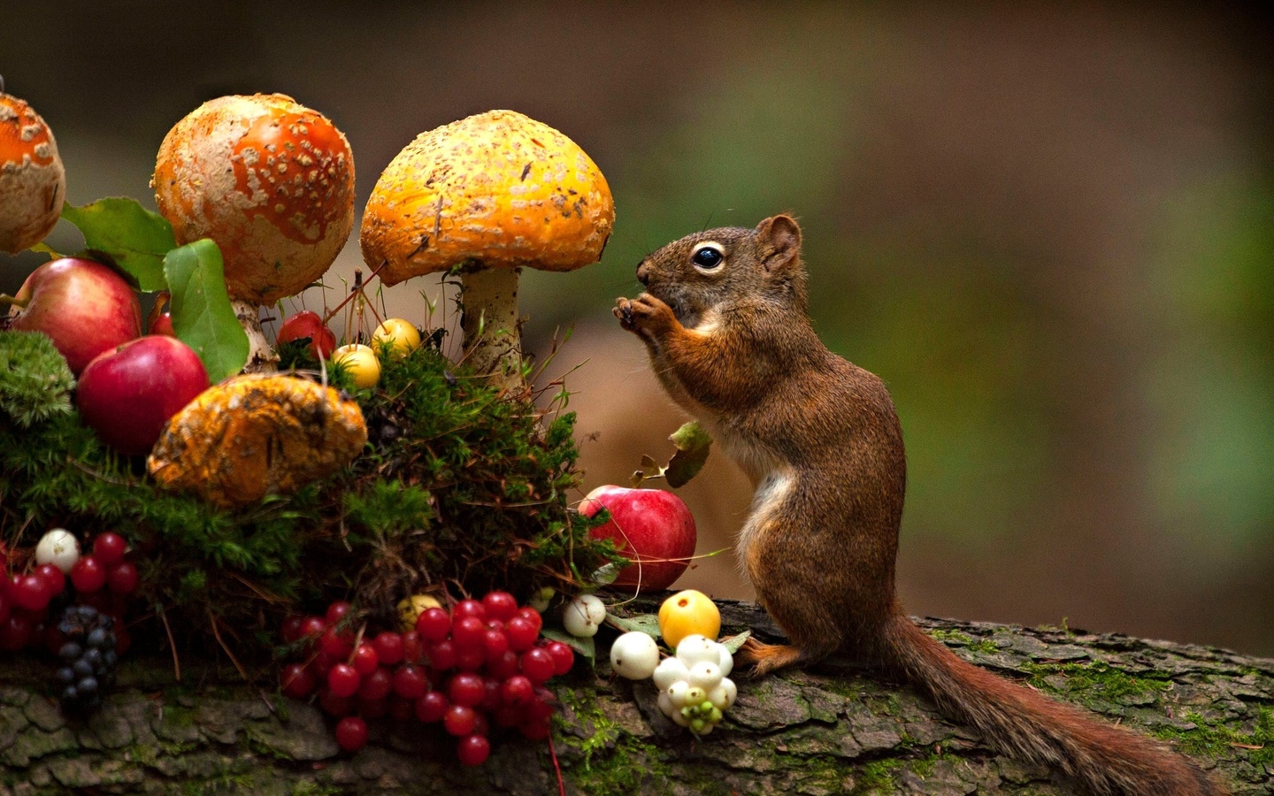 andre villeneuve, , , , , , , 