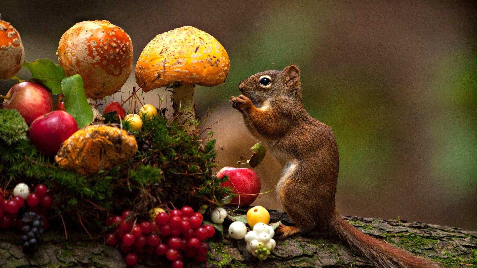 andre villeneuve, , , , , , , 