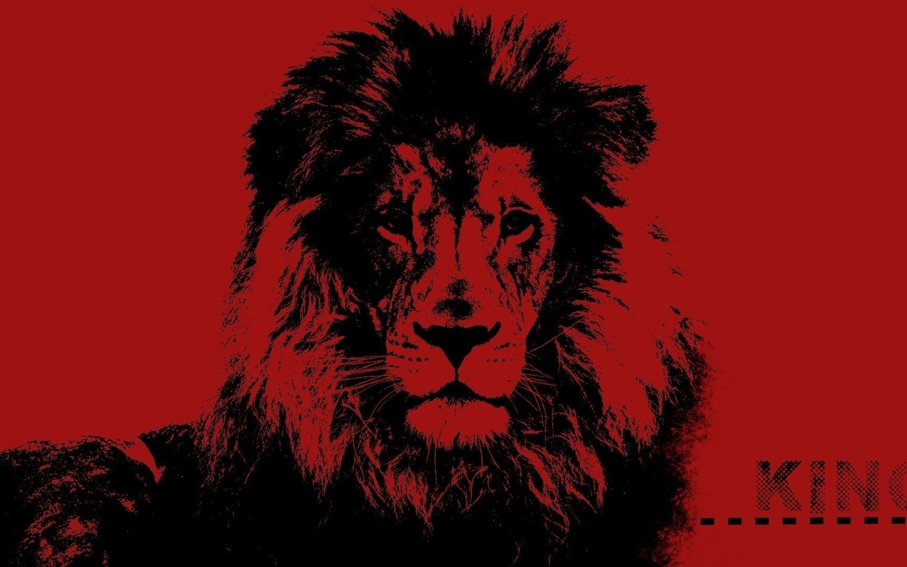 lion, animals, king, 