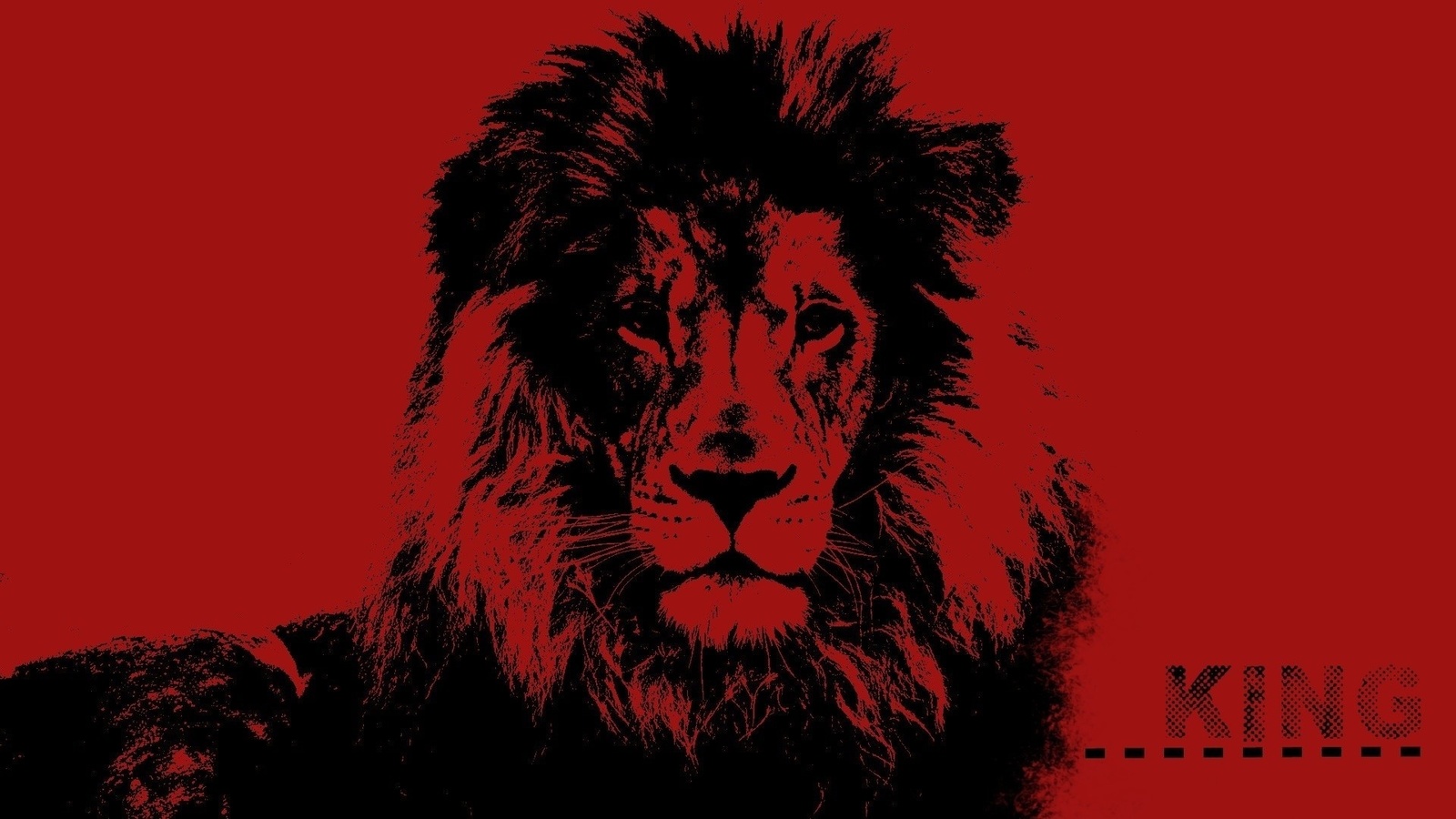 lion, animals, king, 