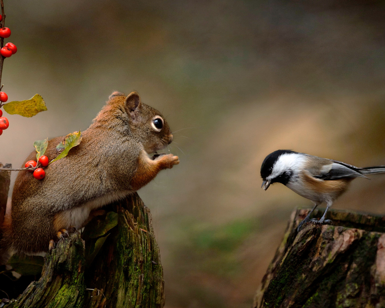 andre villeneuve, , , , , , , , , 