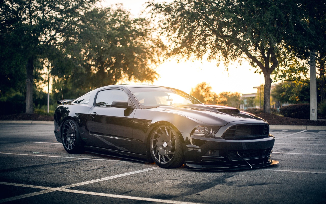 ford, mustang, , , , , 
