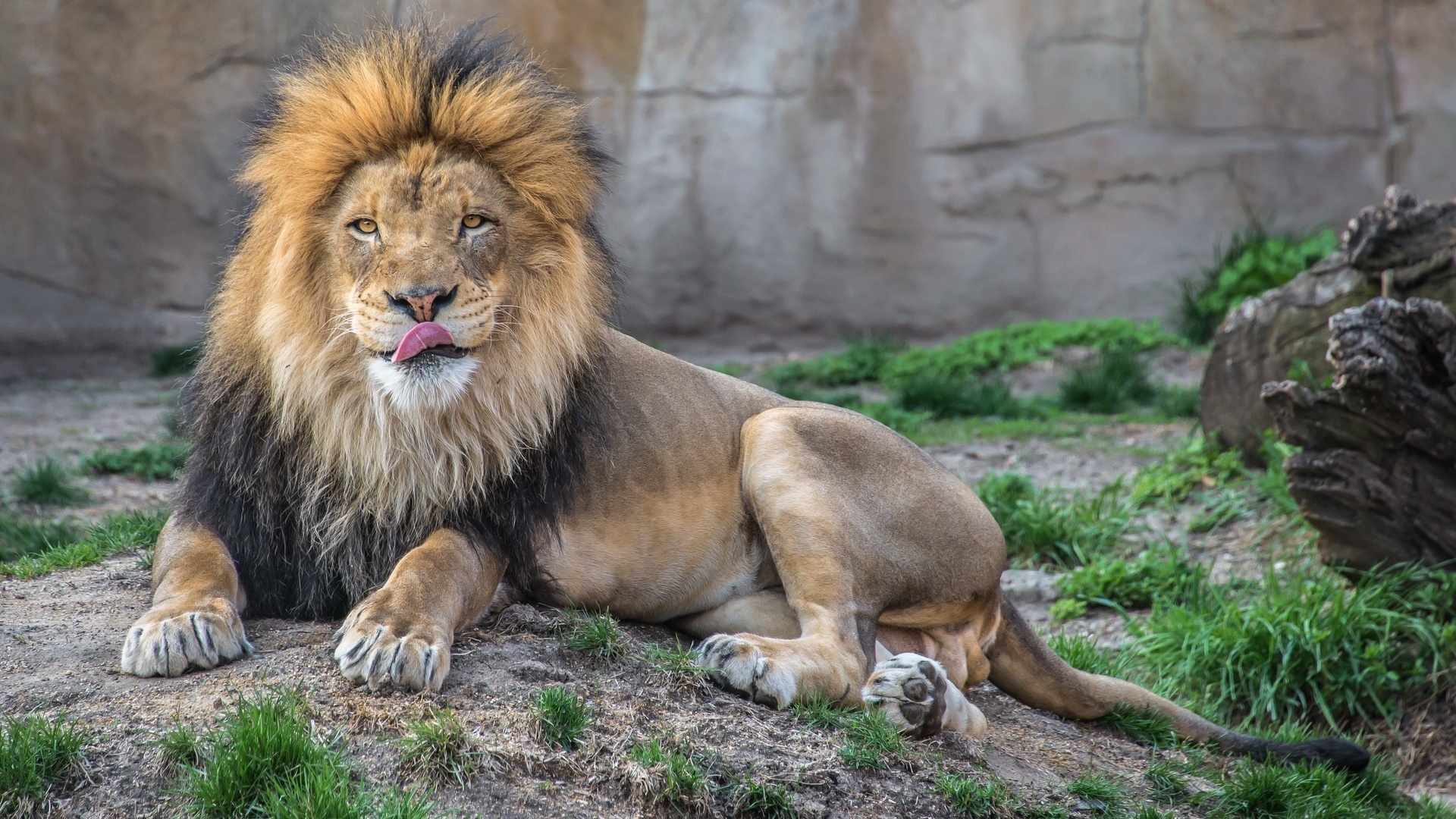 ���, ������