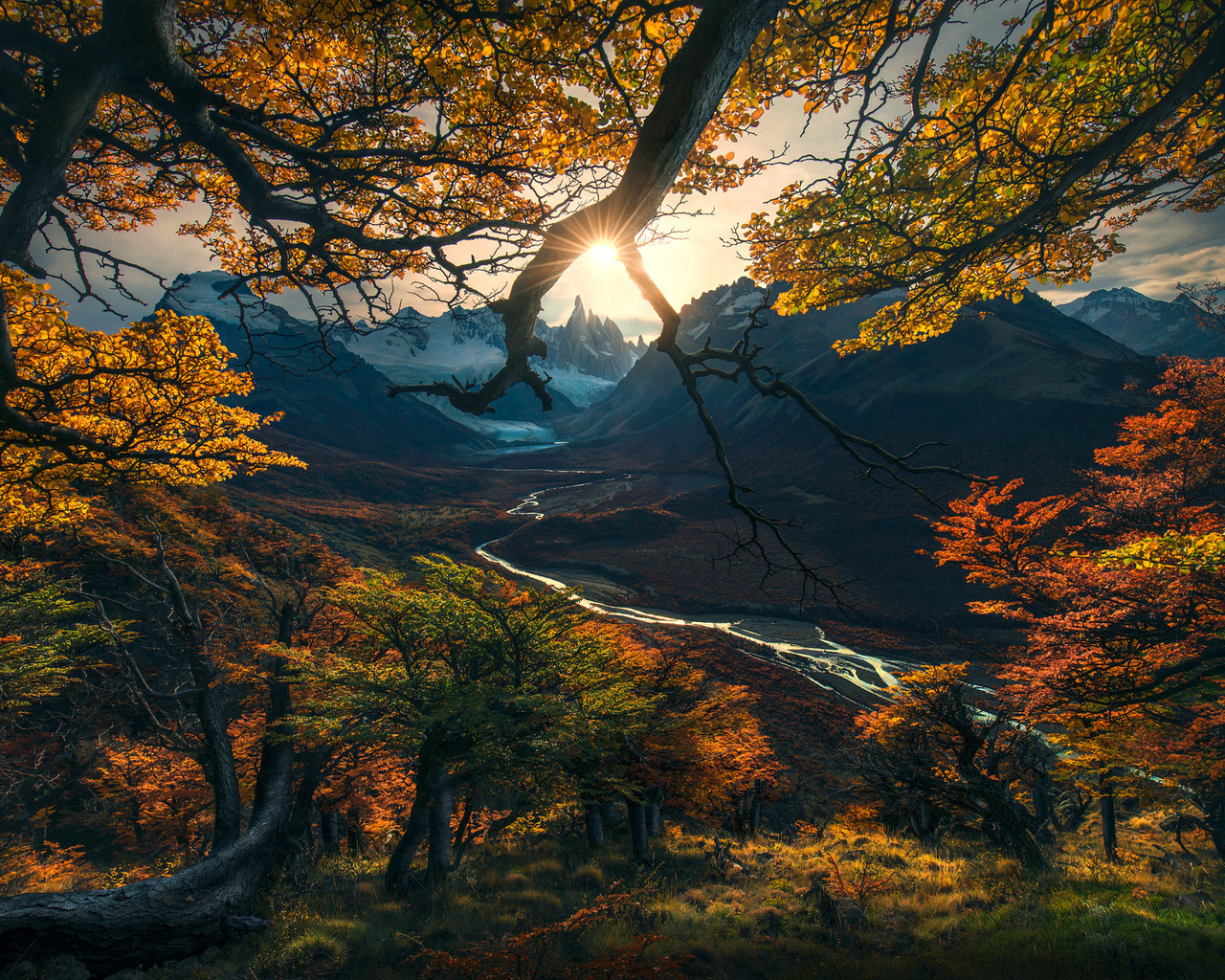 , , , max rive, , , , , 