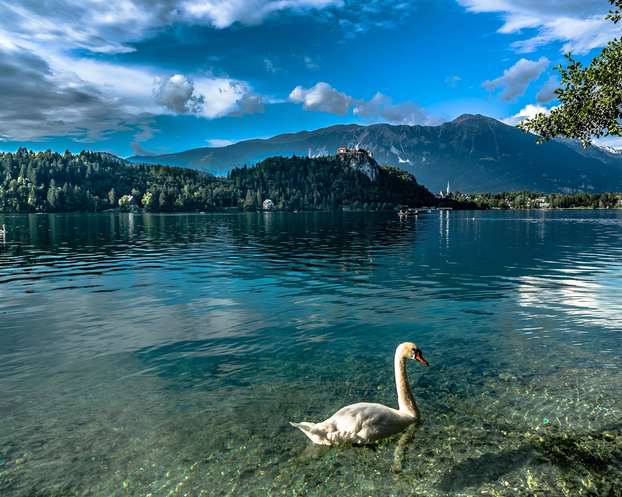 , , , , bled, slovenia, , , , , 