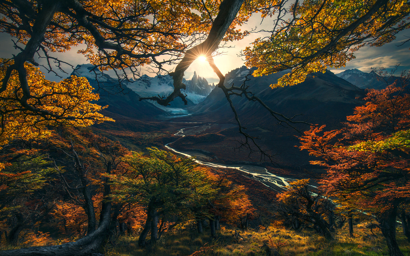 , , , max rive, , , , , 