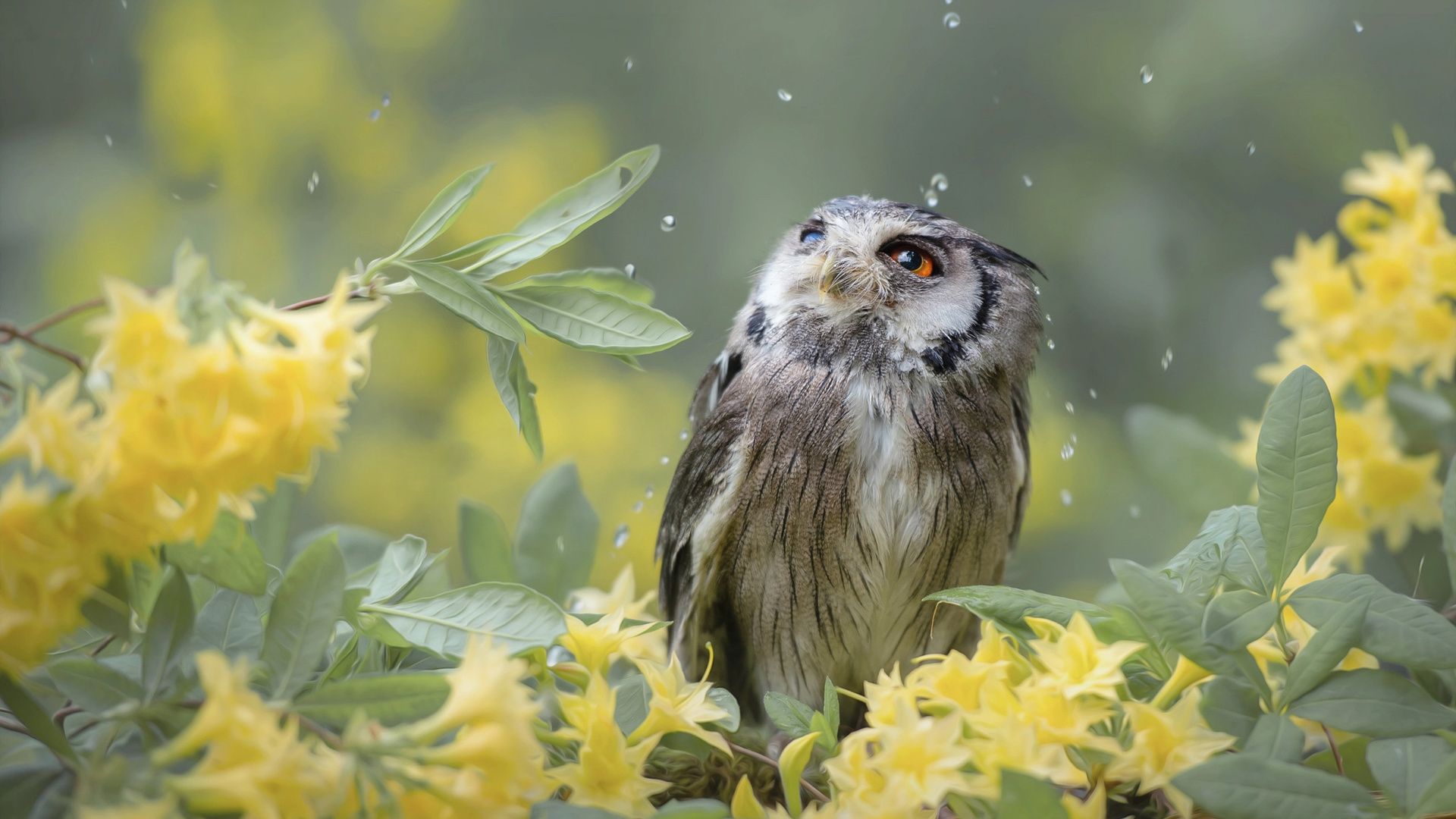 tanja brandt,  , , , , , , , 