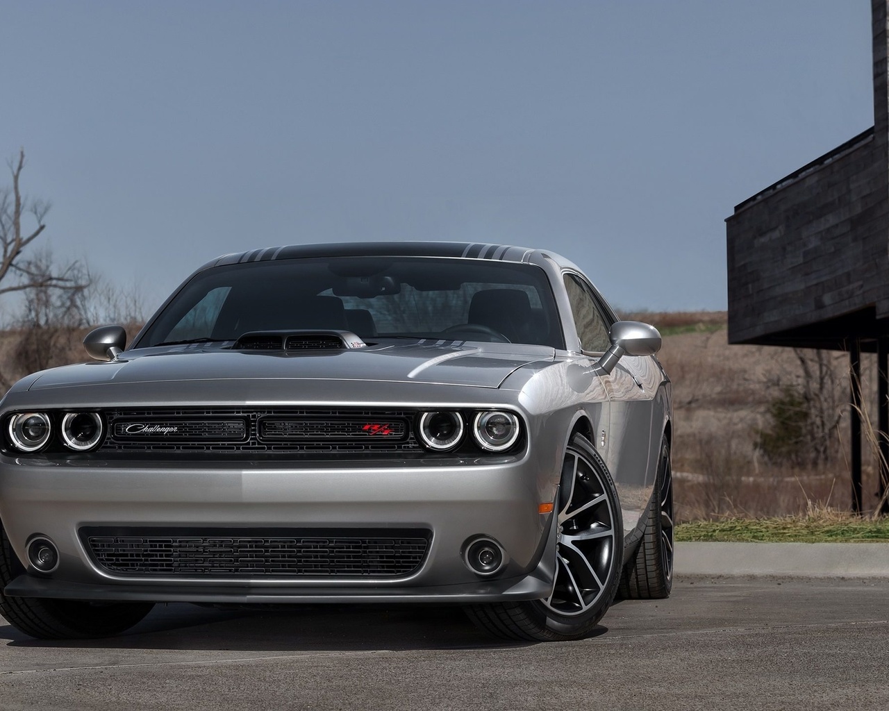 dodge, challenger, 392 hemi, scat pack