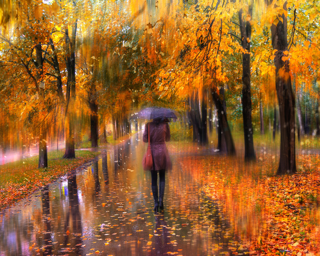 ed gordeev,  ,  , , , , , , 