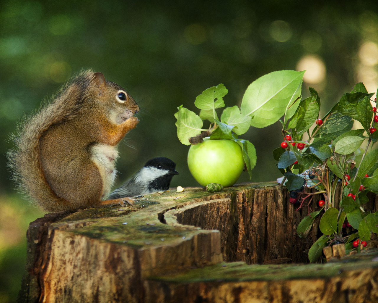 andre villeneuve, , , , , , , , , , , 