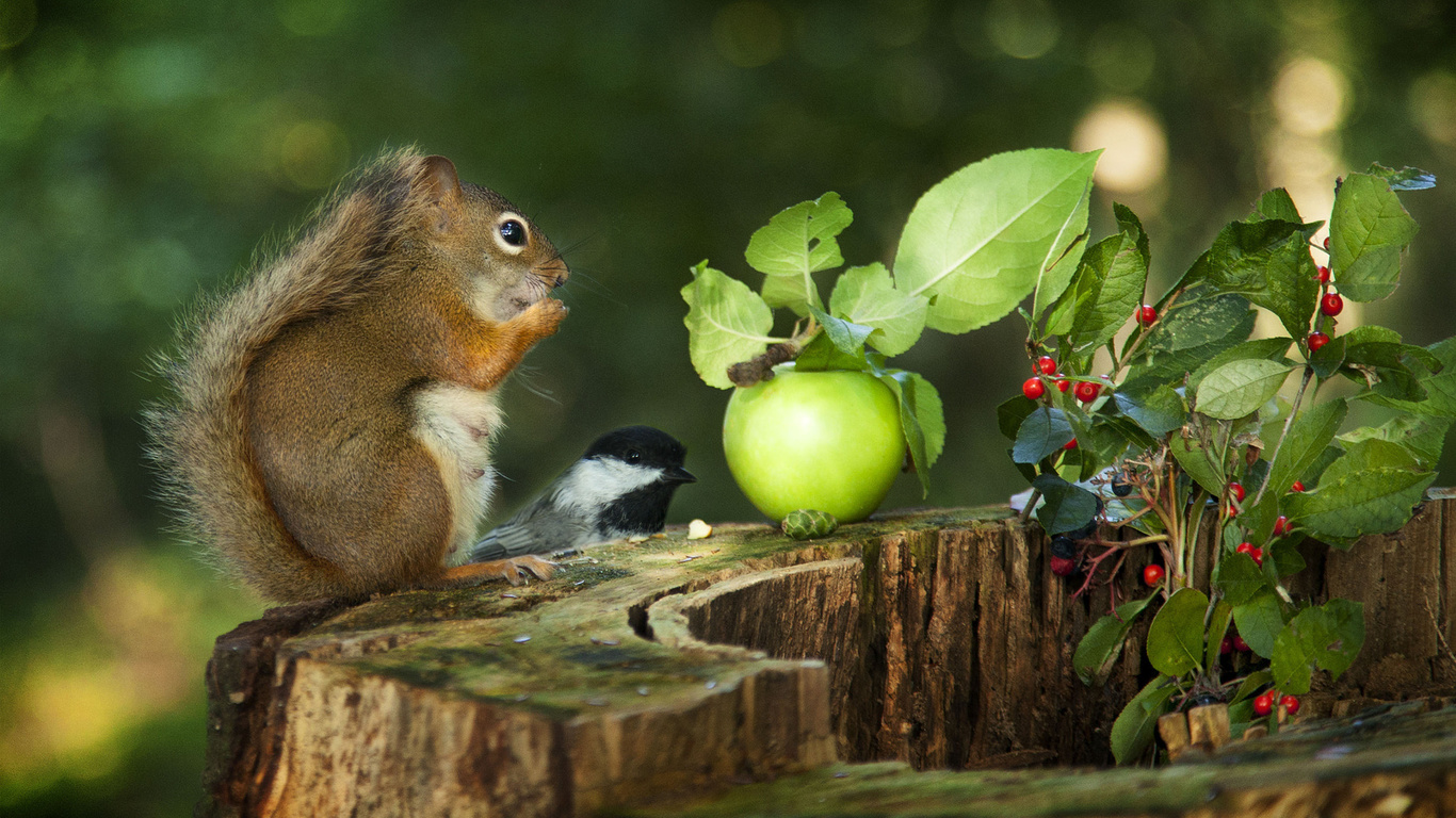 andre villeneuve, , , , , , , , , , , 