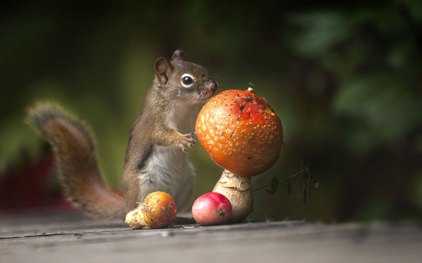 andre villeneuve, , , , , , , 