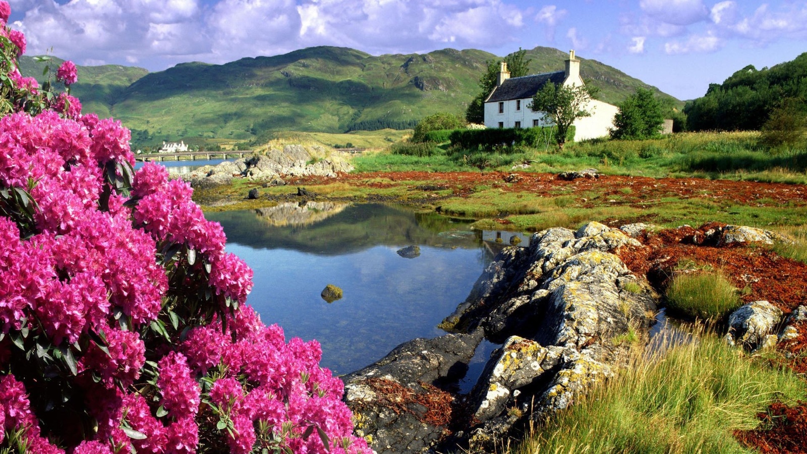 природа, пейзаж, шотландия, дом, вода, камни, цветы, горы, холмы