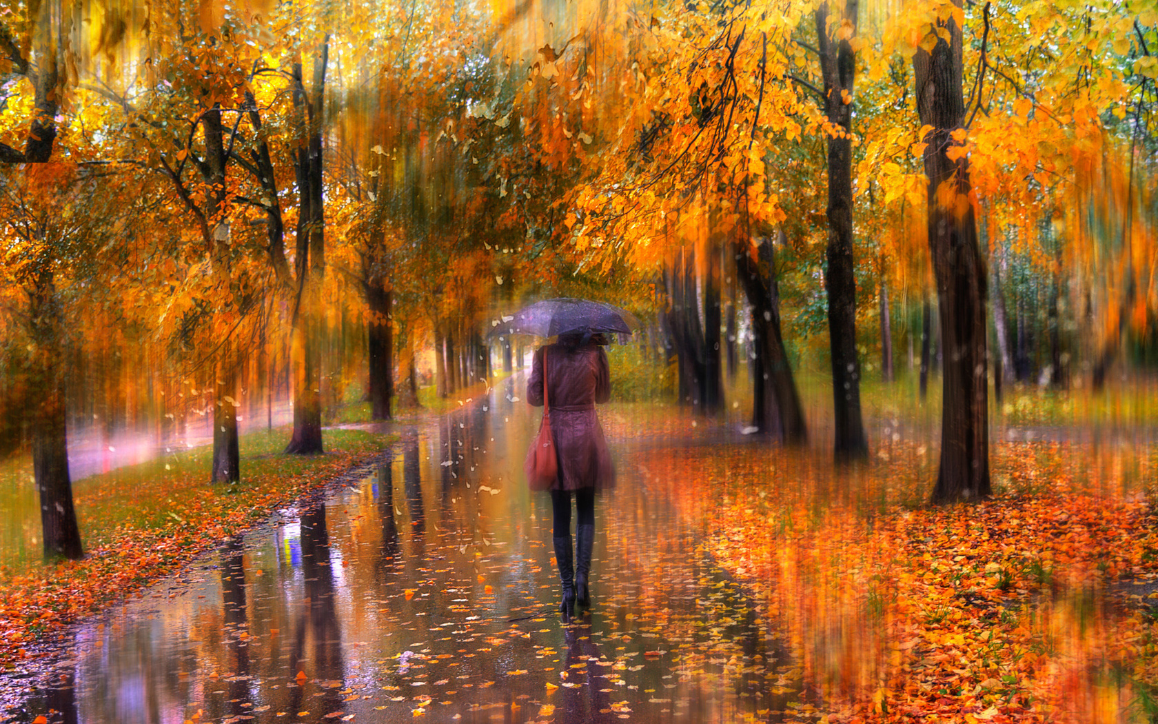 ed gordeev,  ,  , , , , , , 