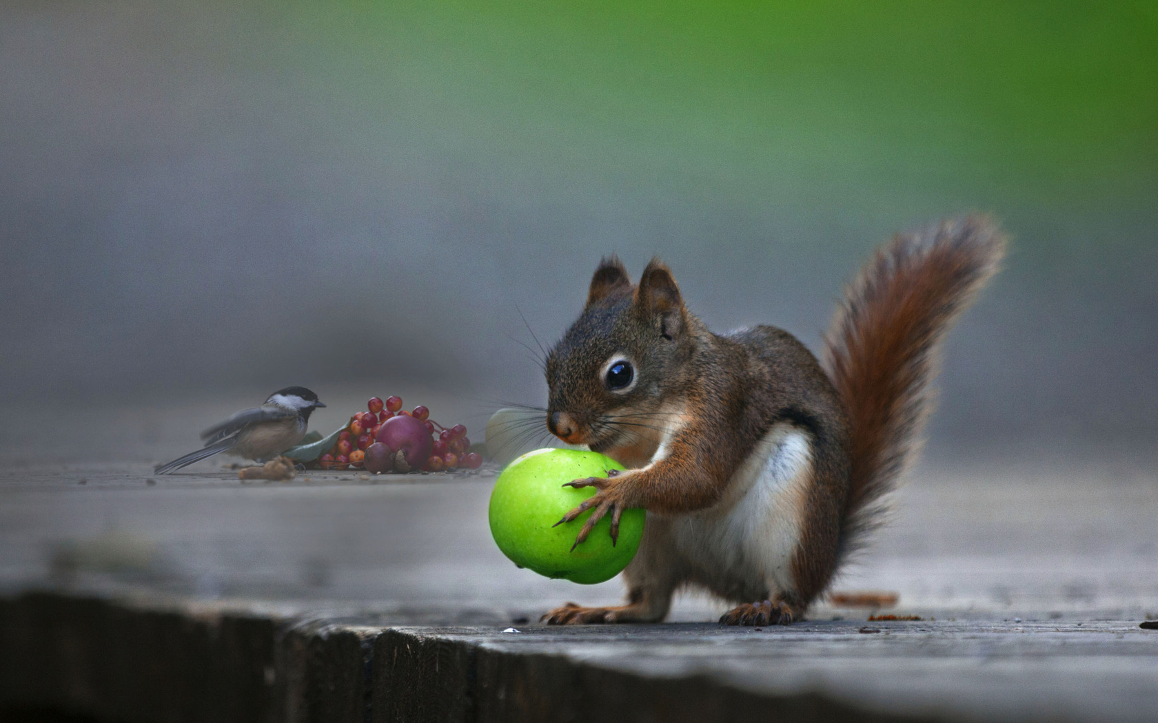 andre villeneuve, , , , , , , , 