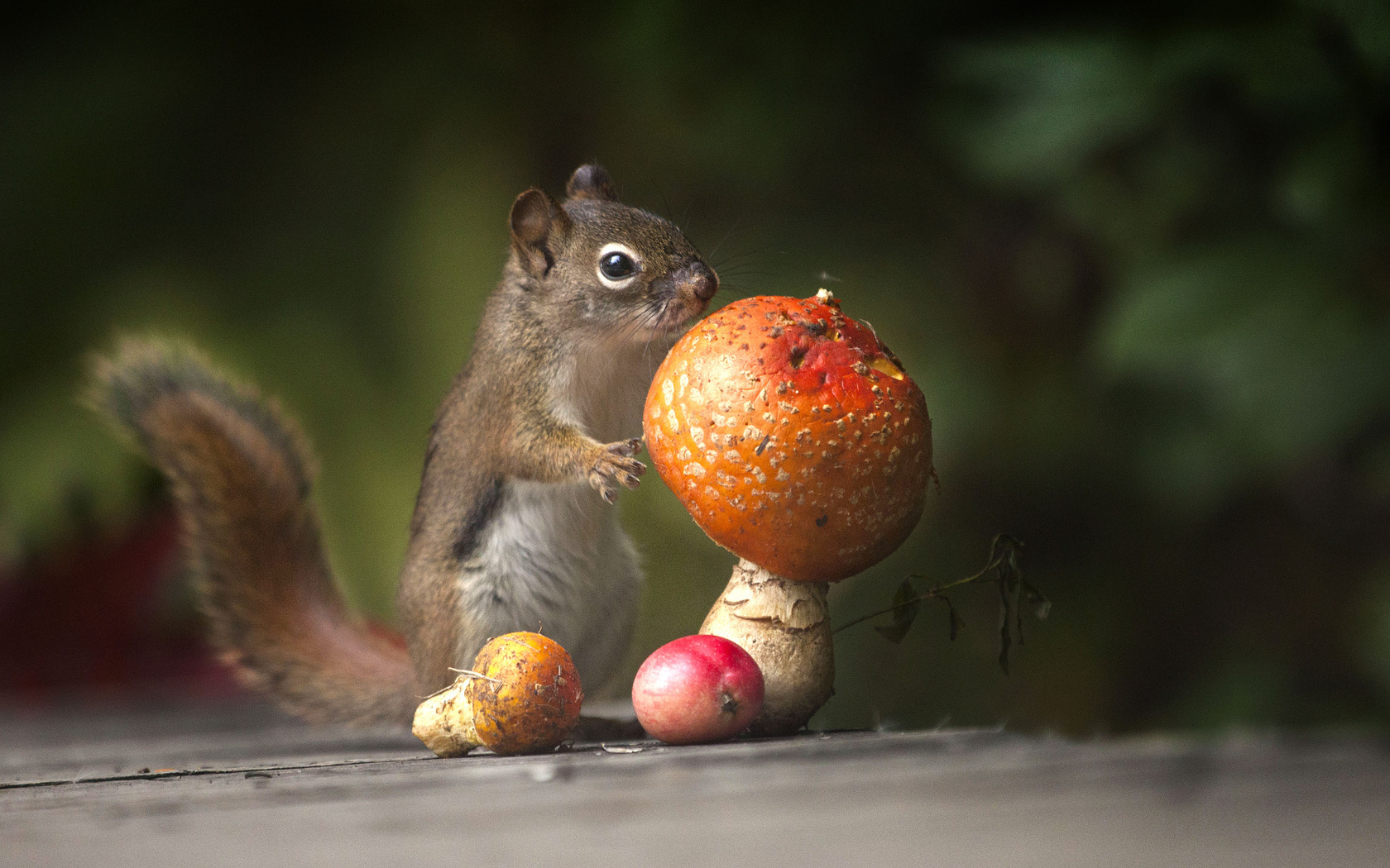 andre villeneuve, , , , , , , 