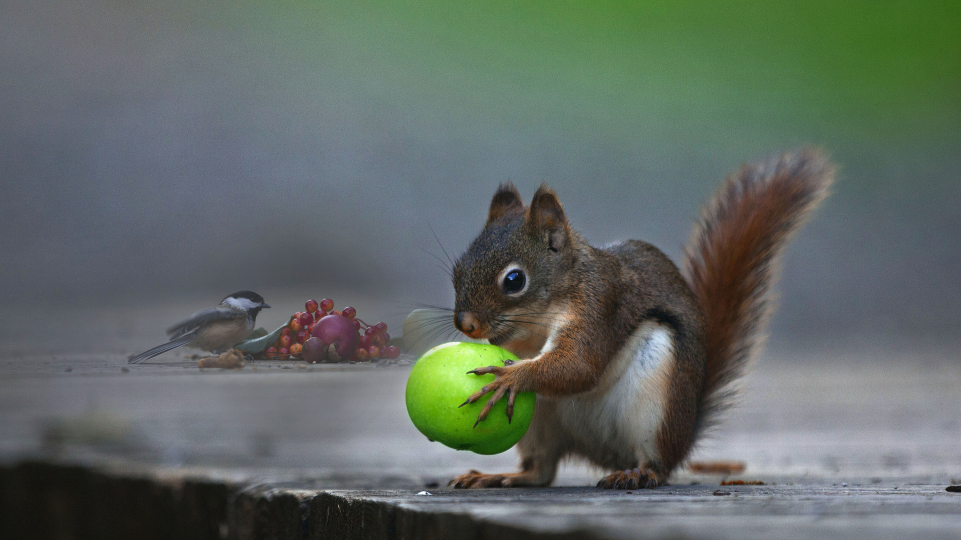 andre villeneuve, , , , , , , , 