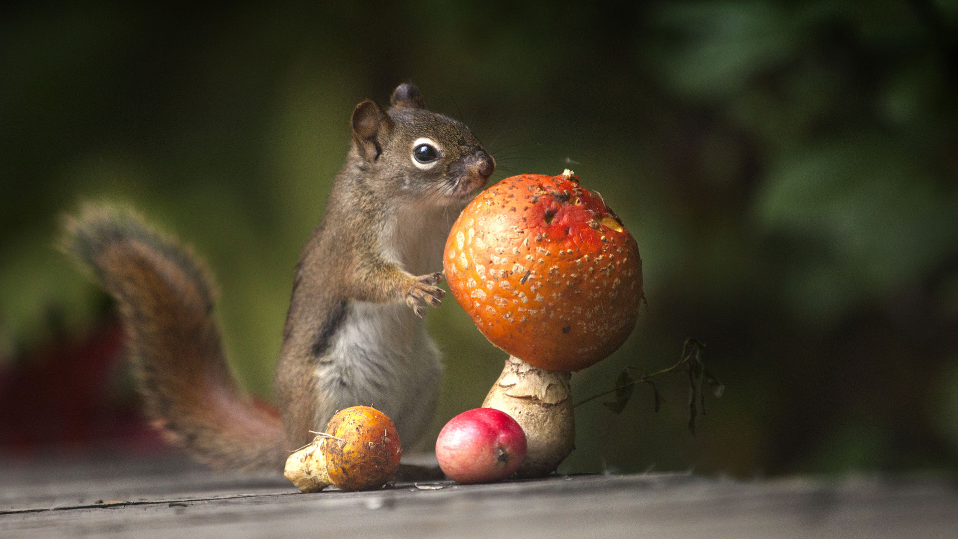 andre villeneuve, , , , , , , 