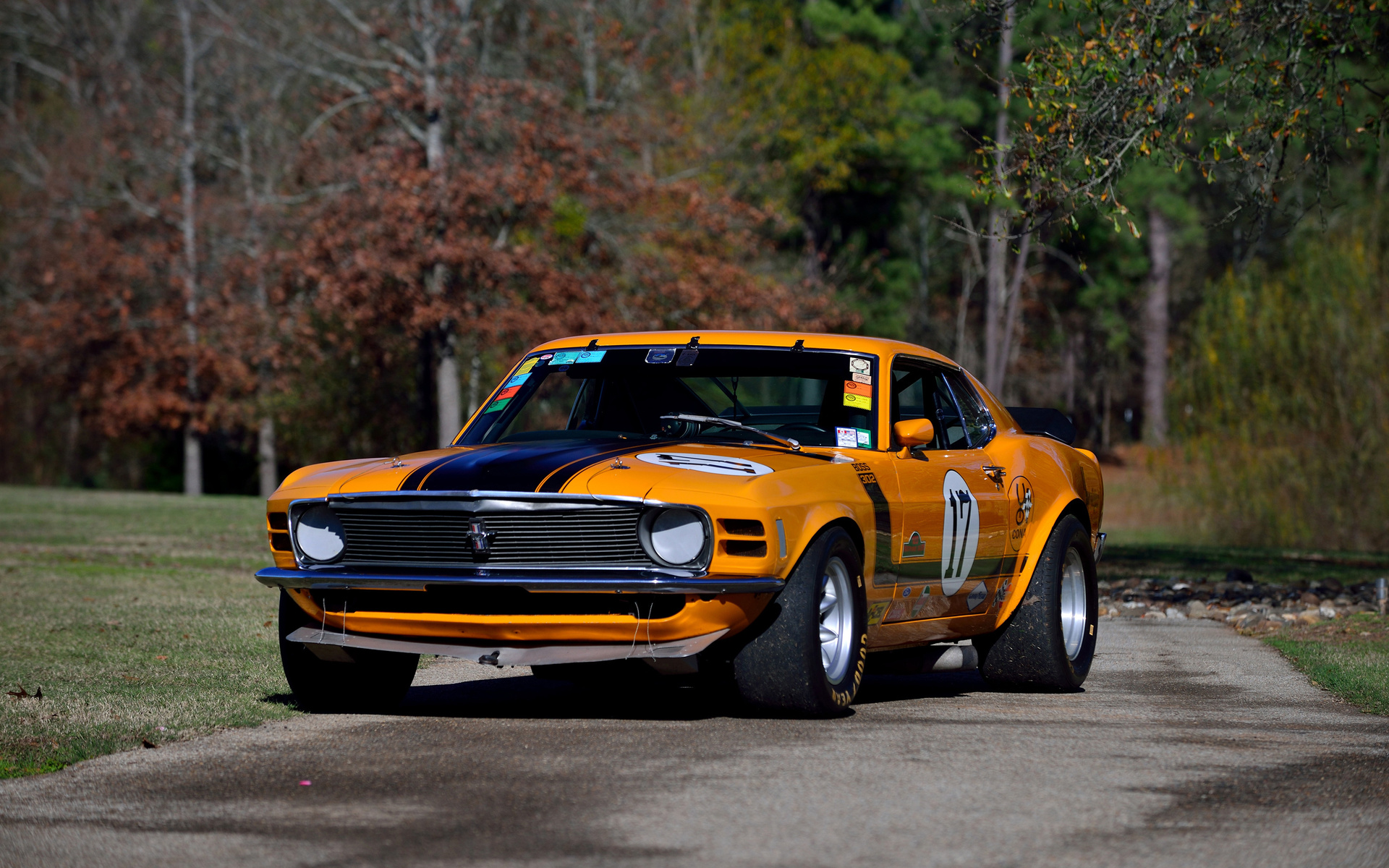 ford, , , 1970, mustang, boss, 302, race