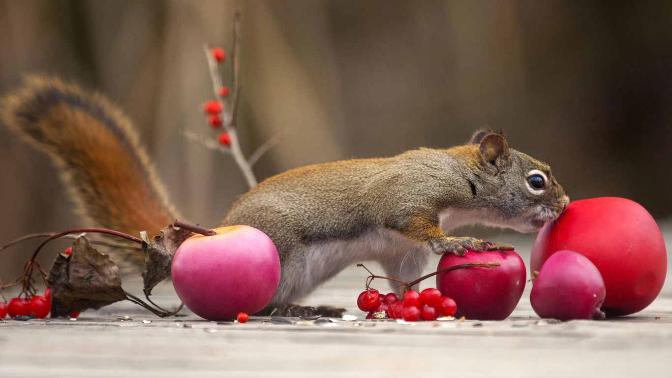 andre villeneuve, , , , , , , 