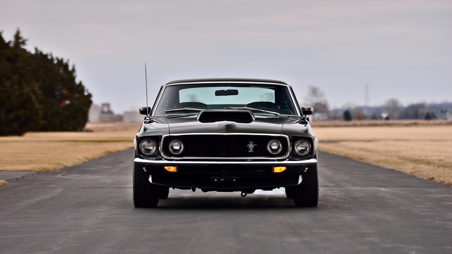 1969, 429, boss, classic, ford, muscle, mustang