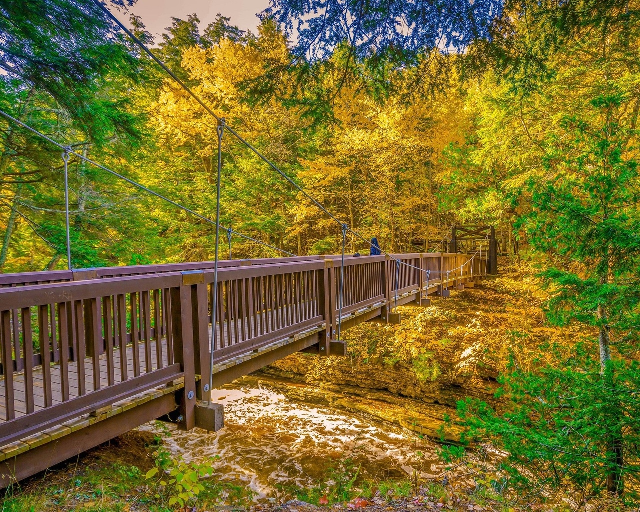 bridge, autumn, trees, ,,,,,,,,, ,,,