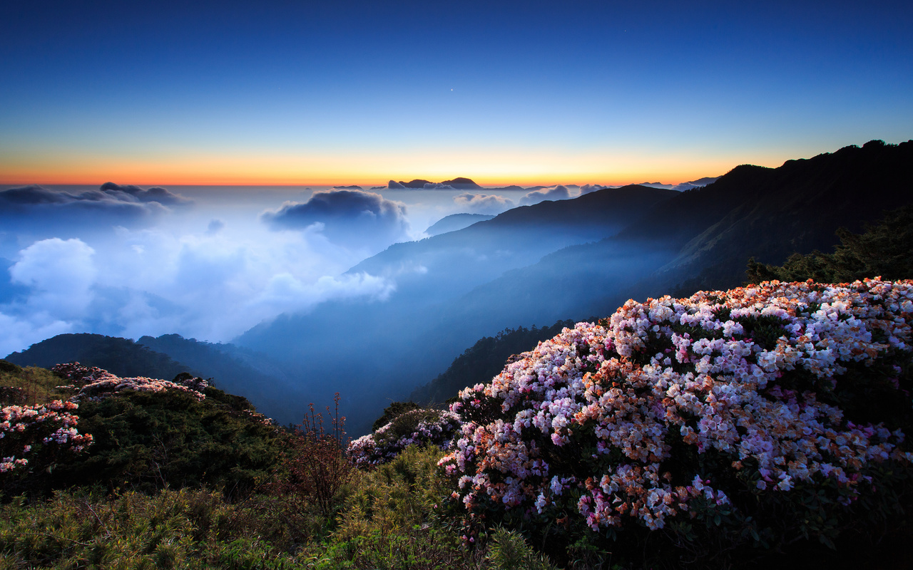 flowers, morning, mountains, fog, the evening, night, hills, the sky, clouds, sunset, 