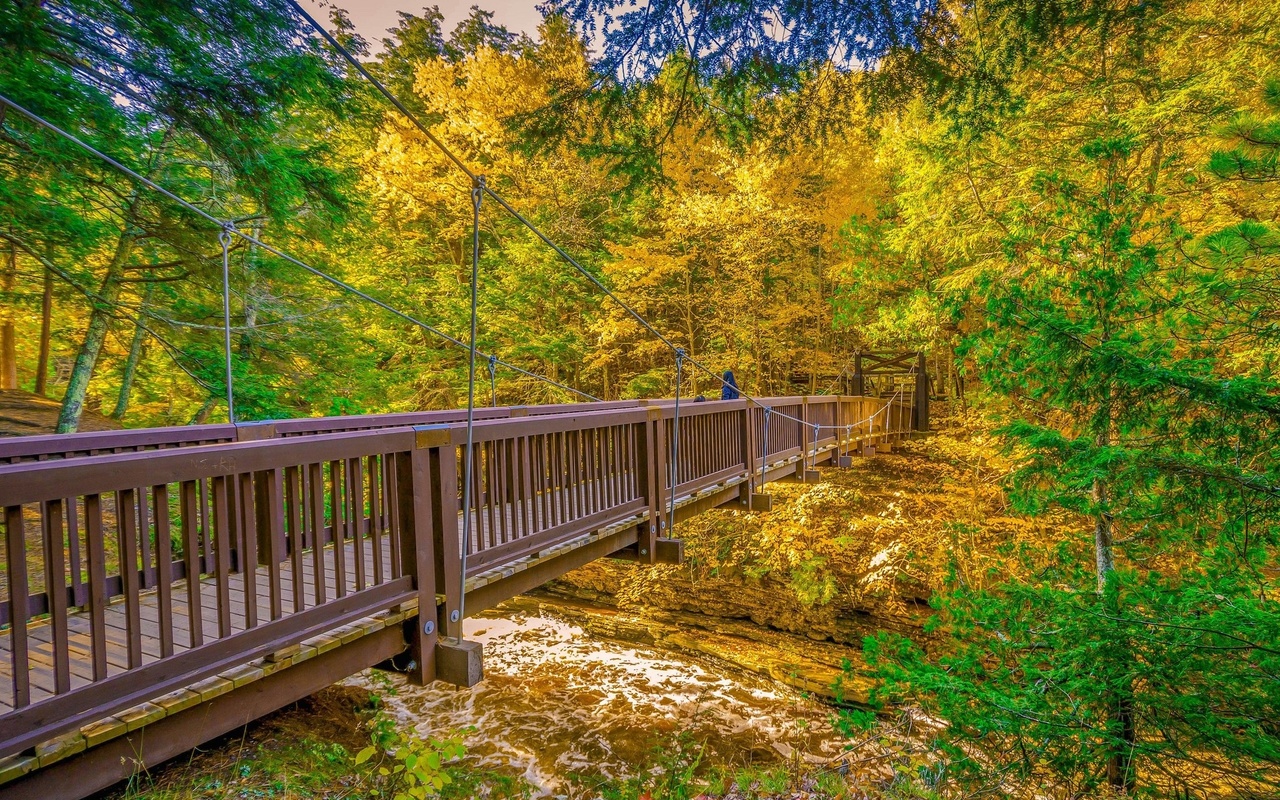 bridge, autumn, trees, ,,,,,,,,, ,,,