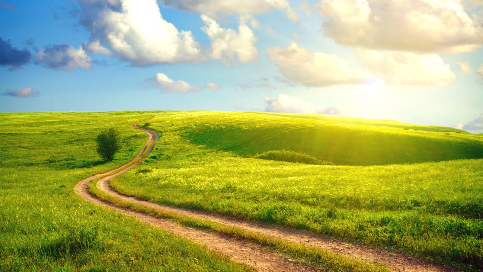 sunshine day, the sky, road, village, clouds, summer, the sun, dense, grass, country, landscape