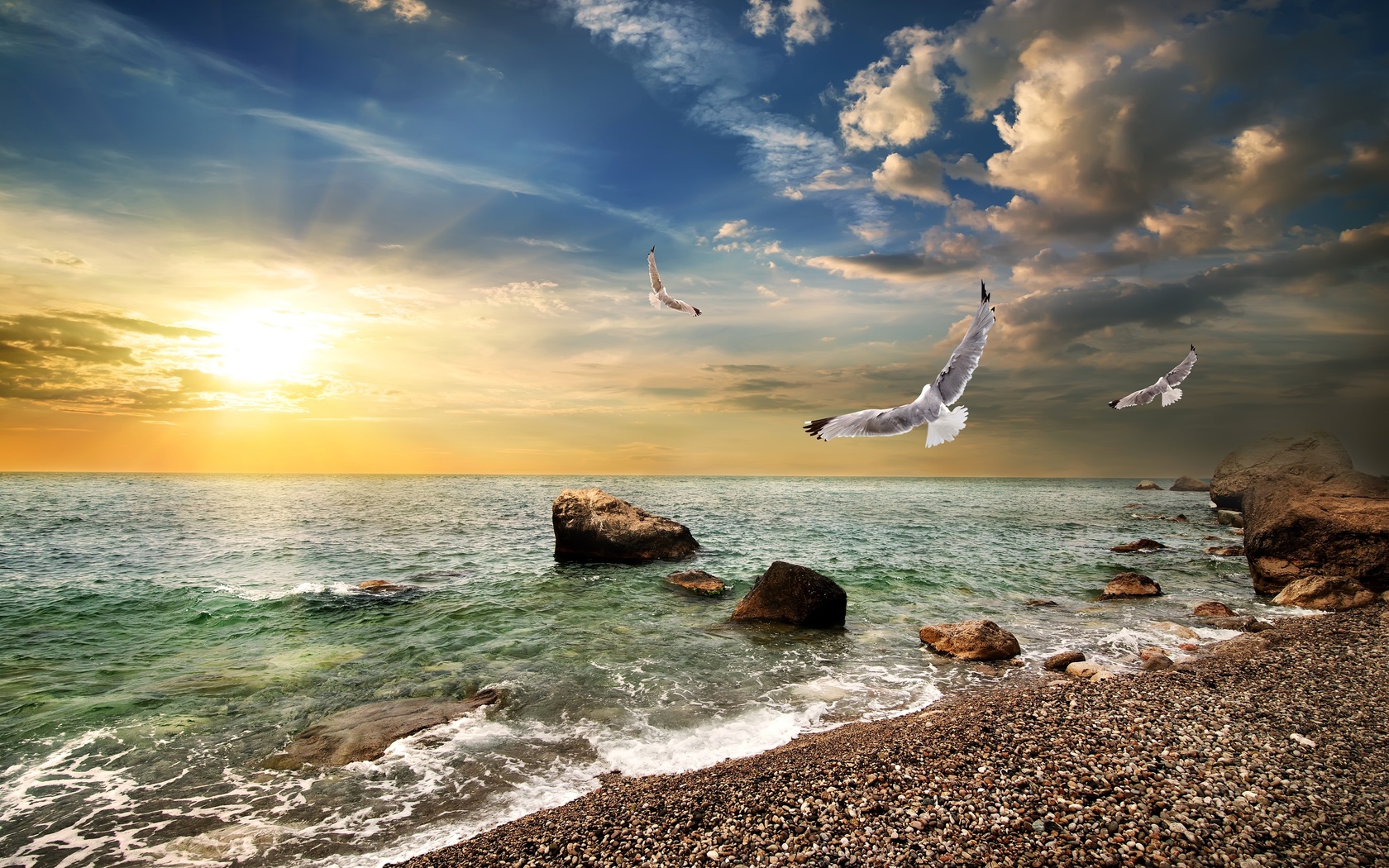 seagulls, stones, crimea, horizon, the sky, the sun, clouds, sea, coast, dawn, , , , 