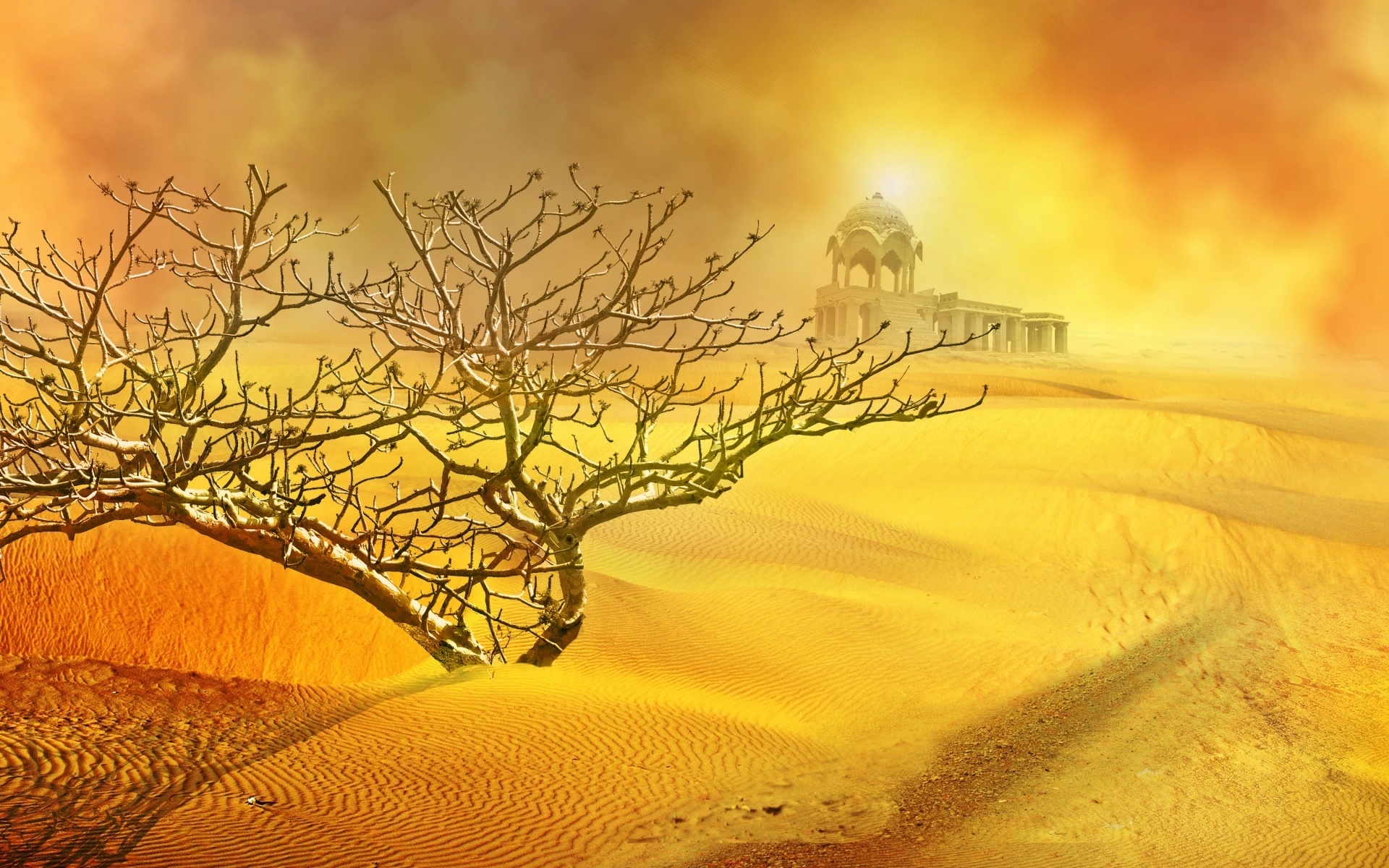 sand, desert, sun, bush, sand storm, temple