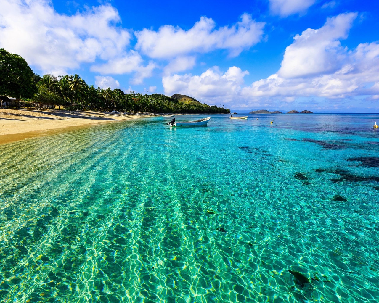 palm trees, coast, beach, sand, sea, boats, tropics.the sun, the sky, horizon, clouds