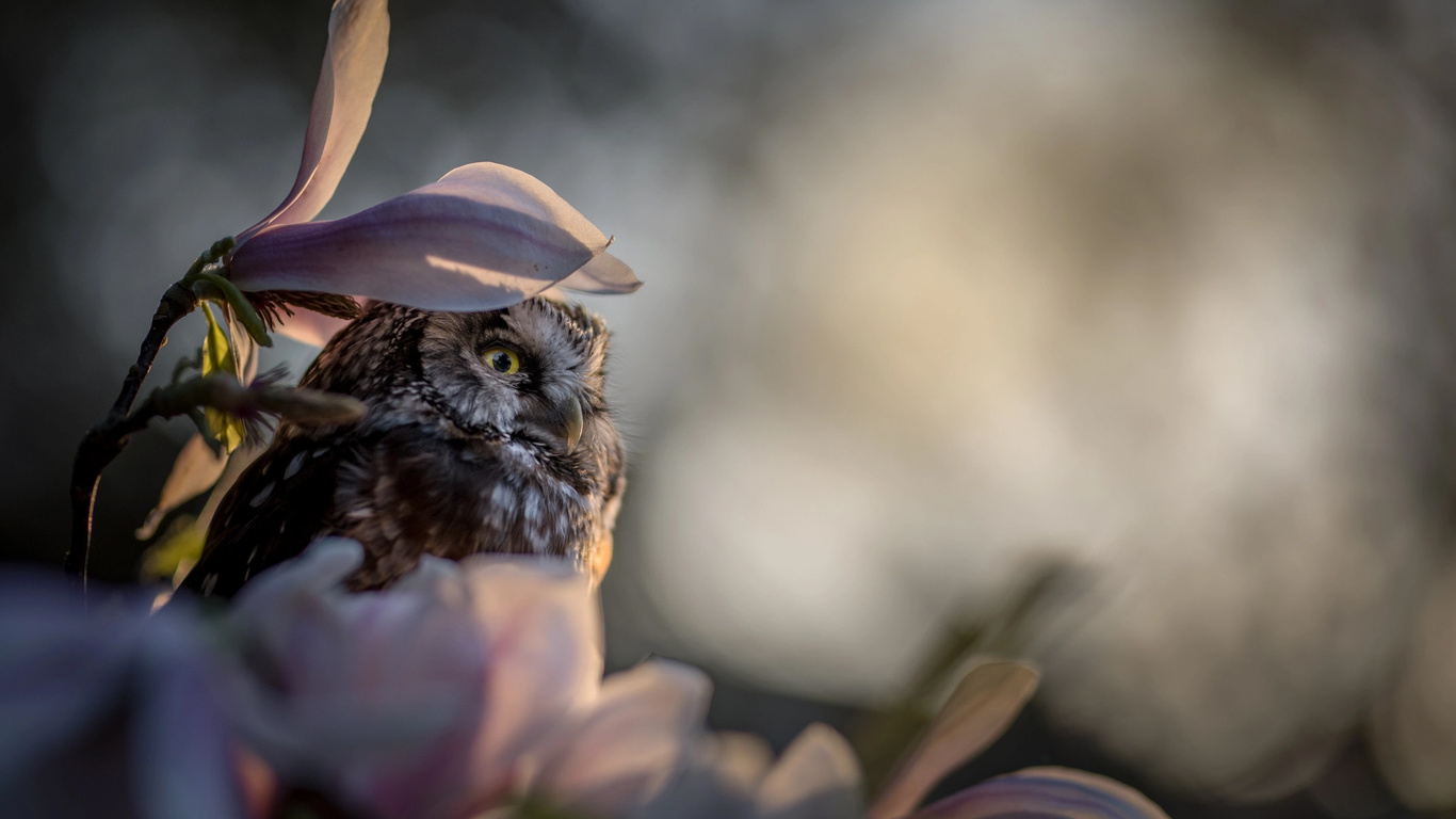  , , , , , , , , tanja brandt