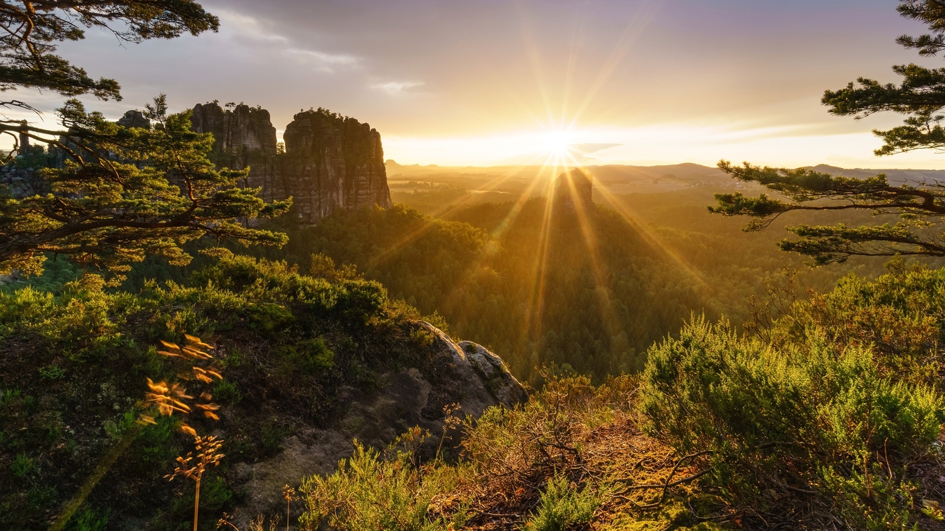 switzerland, alps, mountains, trees, sunrise