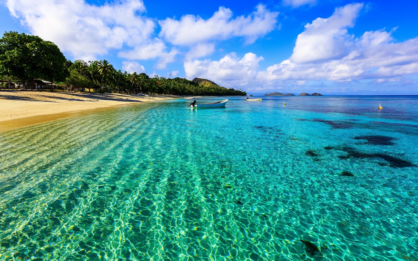 palm trees, coast, beach, sand, sea, boats, tropics.the sun, the sky, horizon, clouds