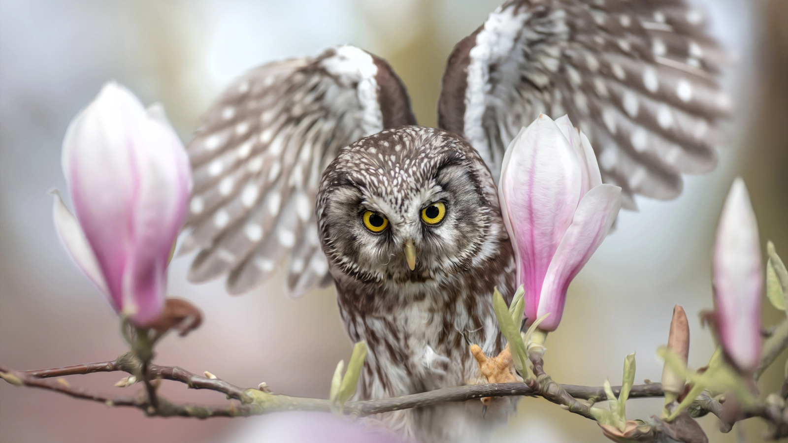  , , , , , , tanja brandt, , 