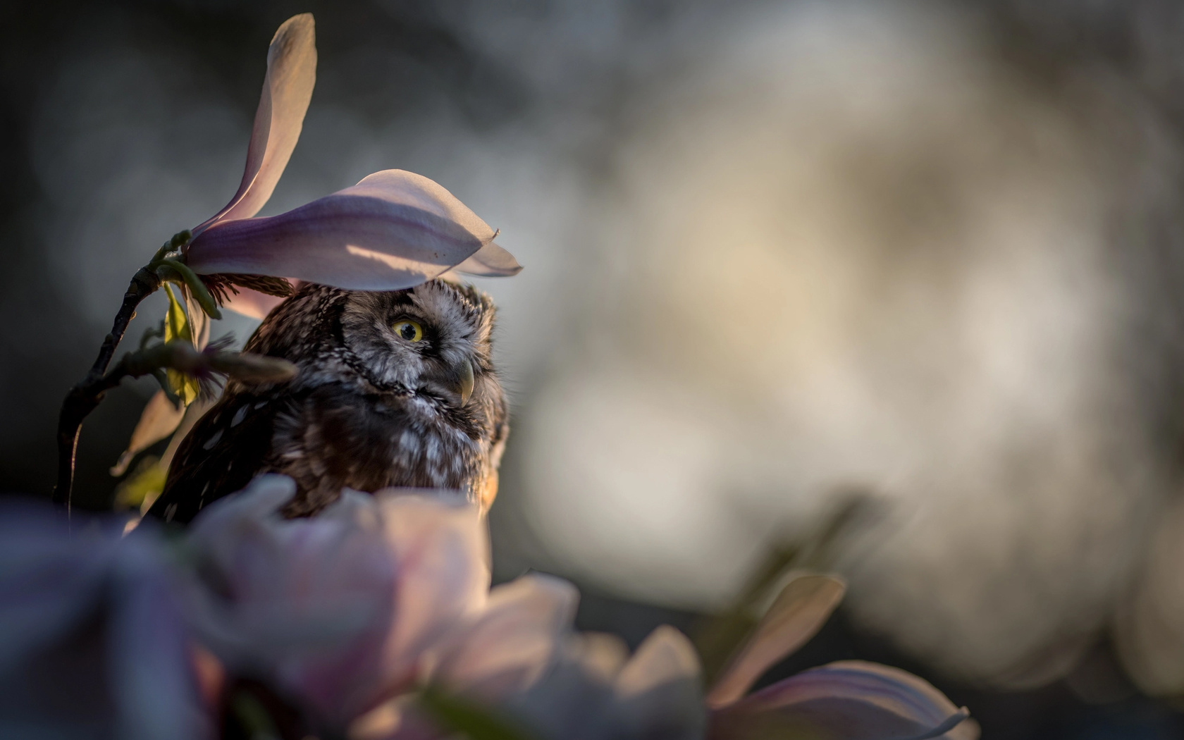  , , , , , , , , tanja brandt