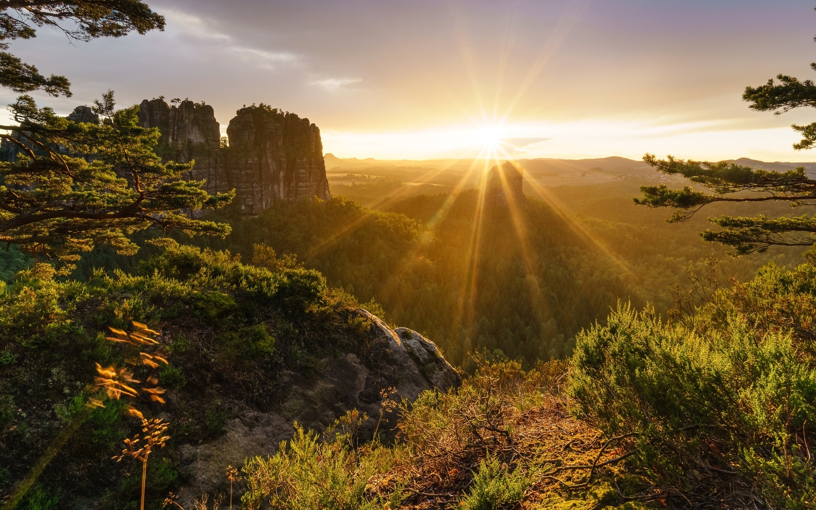 switzerland, alps, mountains, trees, sunrise