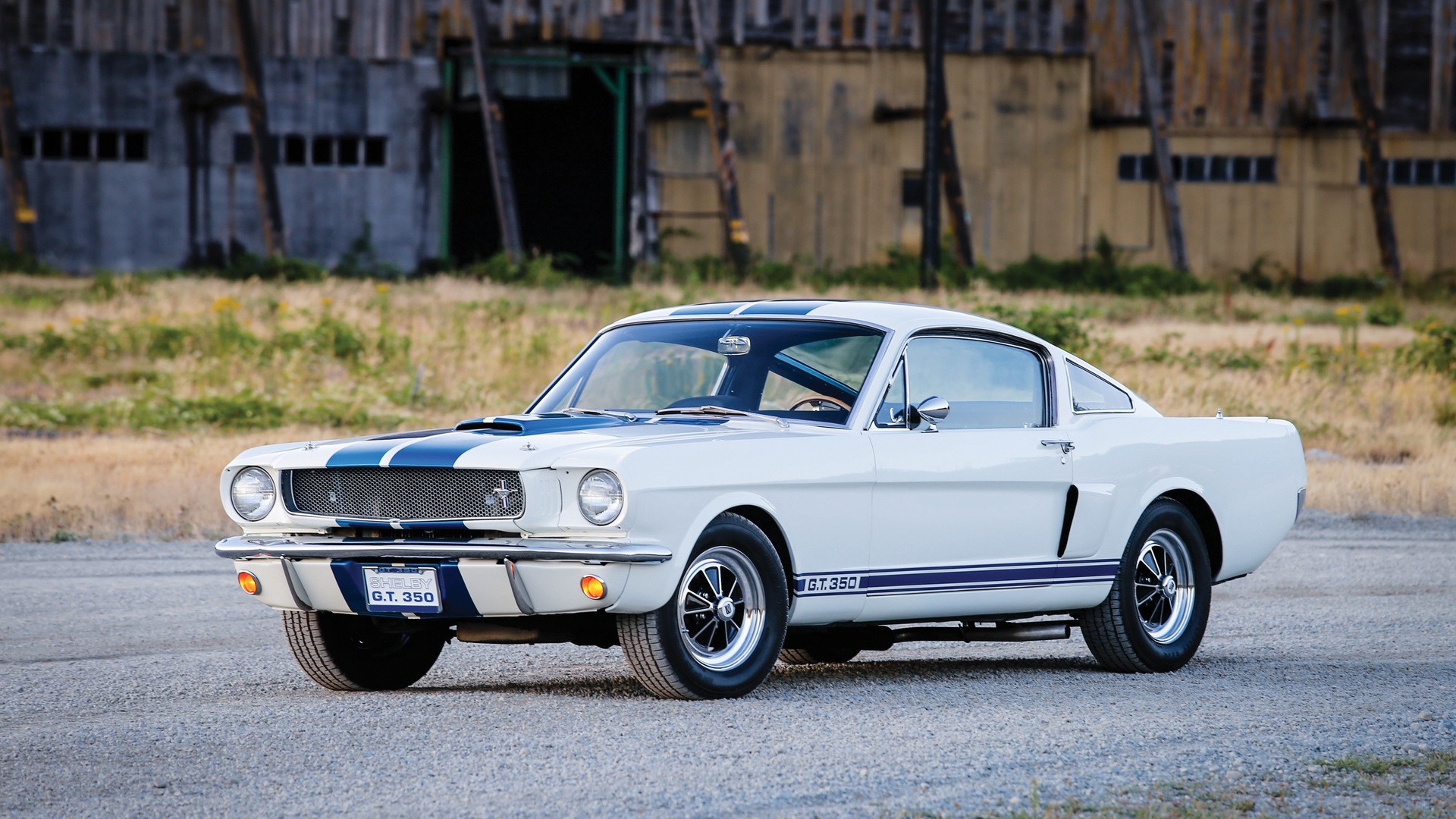 shelby, ford, gt350, , 