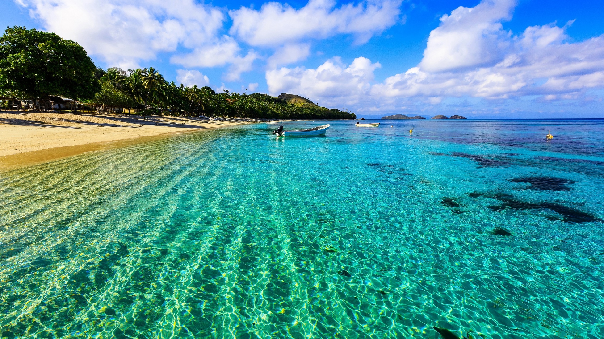 palm trees, coast, beach, sand, sea, boats, tropics.the sun, the sky, horizon, clouds