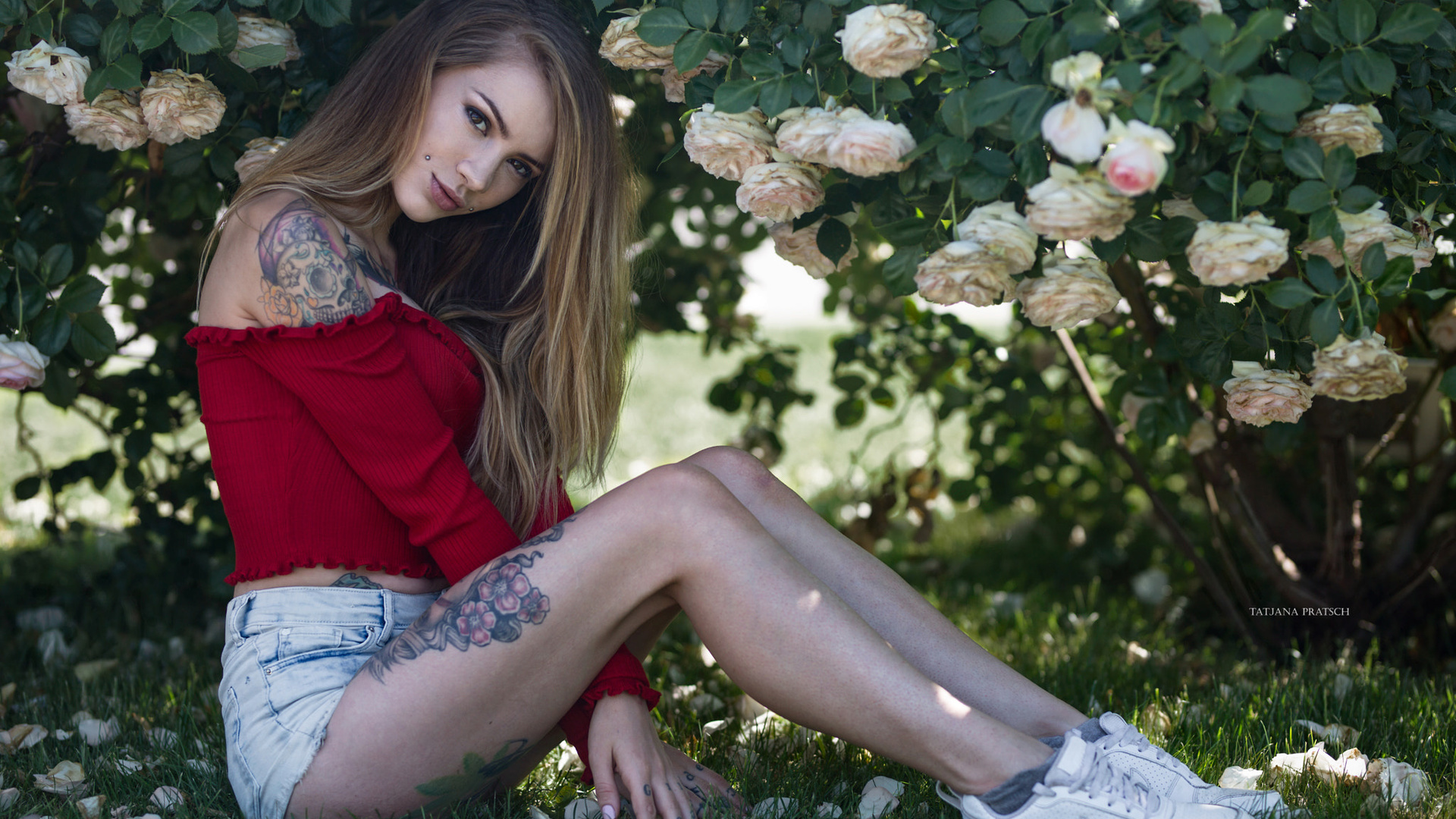 women, portrait, tattoo, brunette, jean shorts, blonde, sneakers, socks, piercing, grass, women outdoors, sitting, bare shoulders, rose, flowers, nike, tatjana pratsch