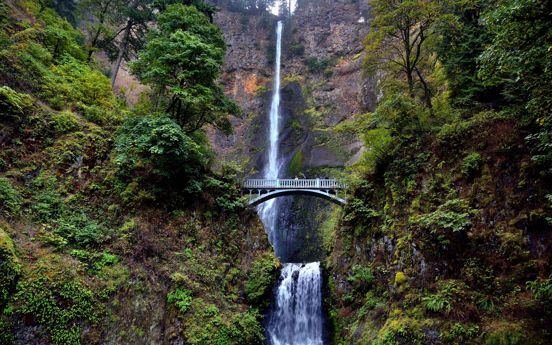 oregon, , , , 