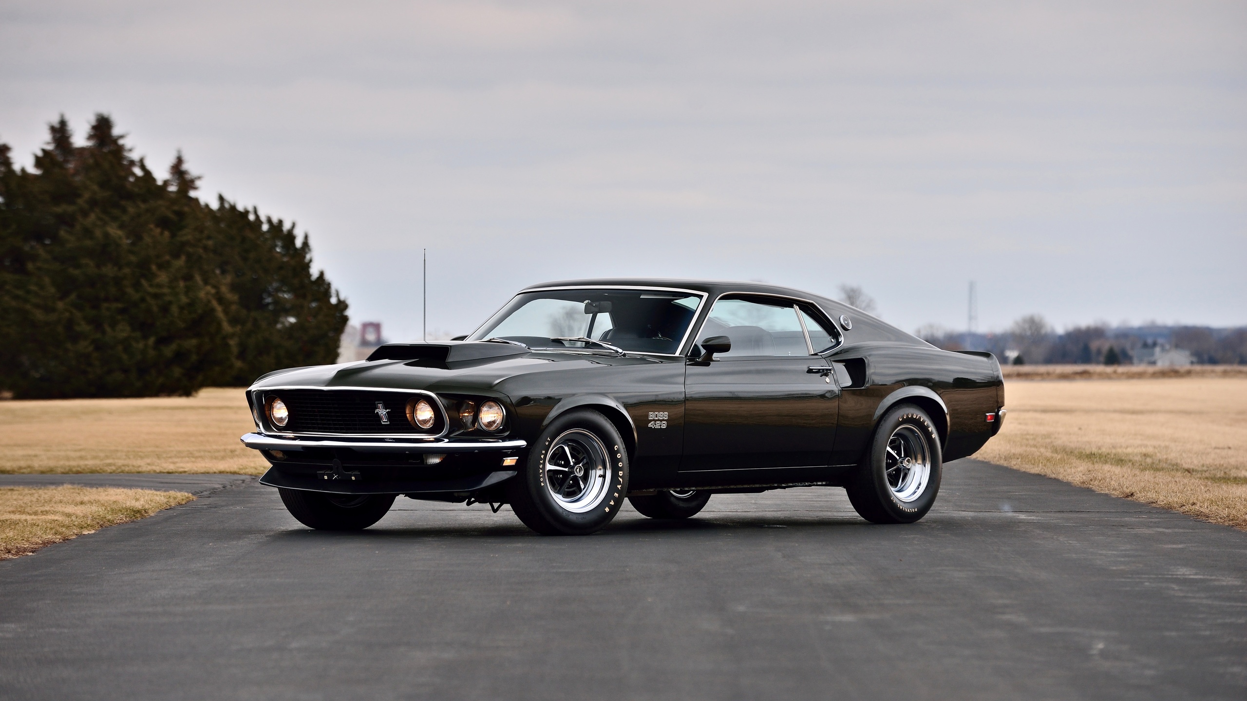 ford, mustang, boss, 429, muscle car