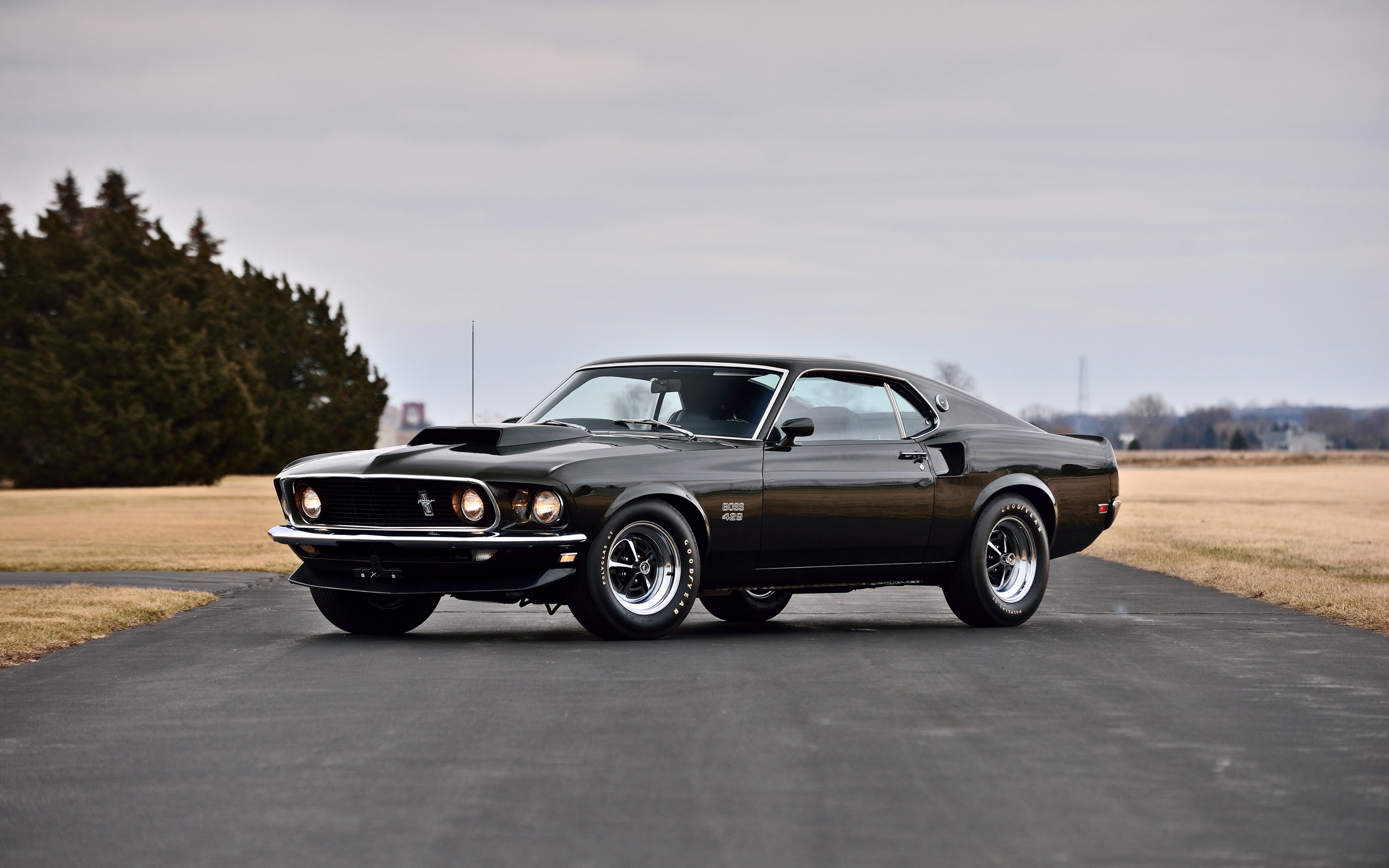 ford, mustang, boss, 429, muscle car